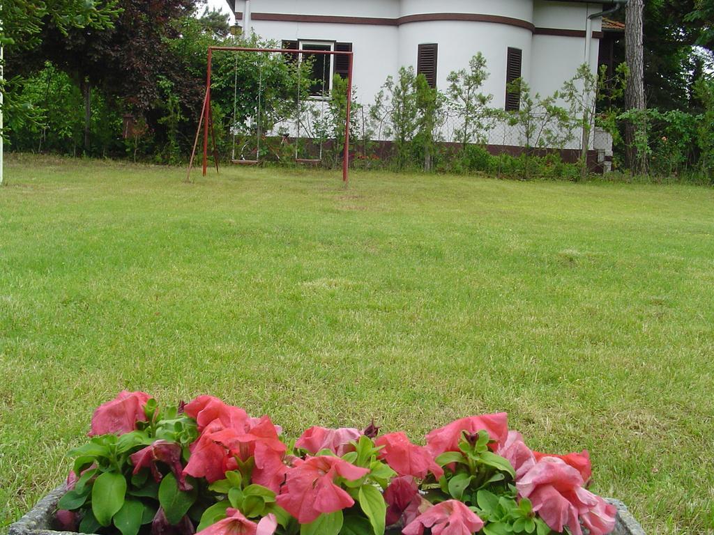 Vila Regina Palić Habitación foto